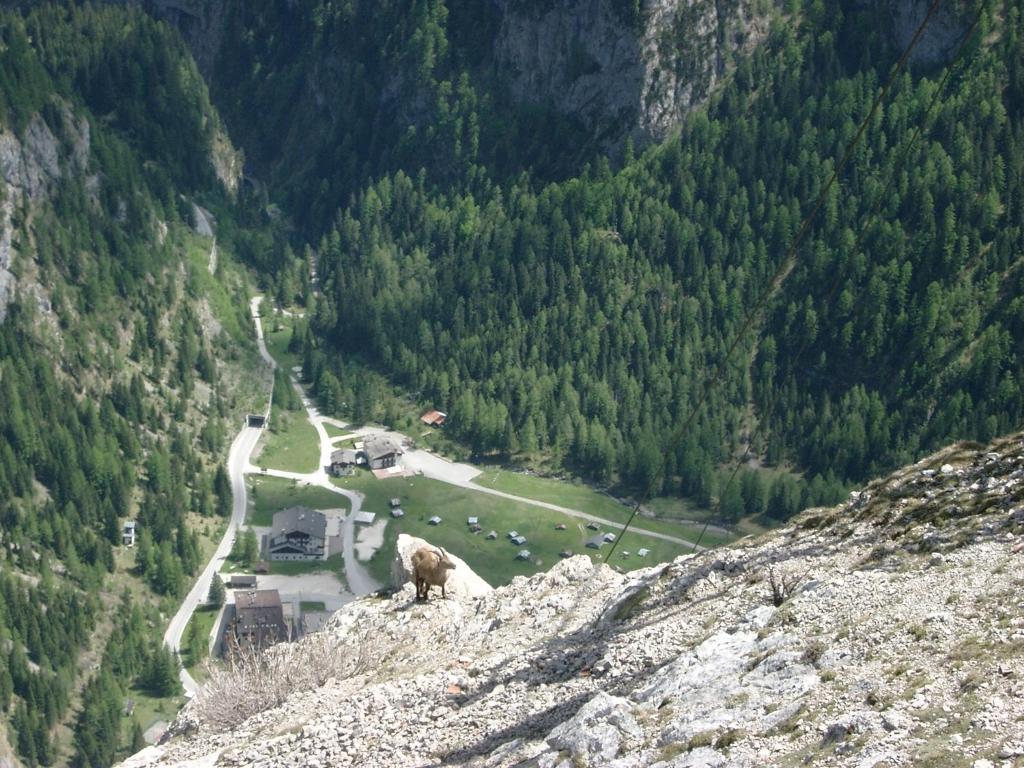 Albergo Genzianella Rocca Pietore Esterno foto